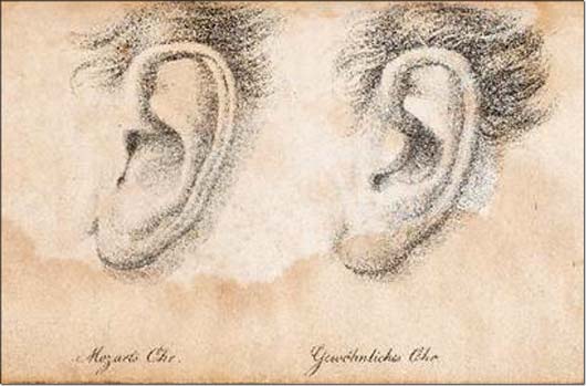 Das Ohr von Mozart